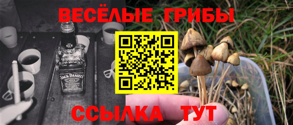 Галлюциногенные грибы прущие грибы Пятигорск