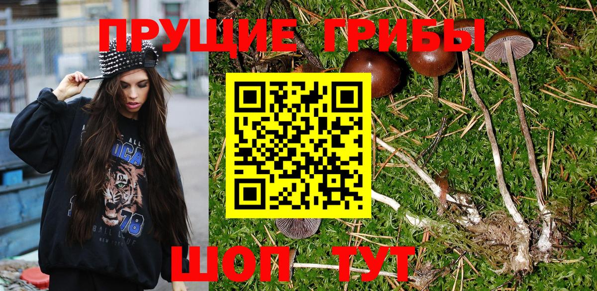 Галлюциногенные грибы GOLDEN TEACHER  Галлюциногенные грибы Cubensis  Вход с VPN  Пятигорск 